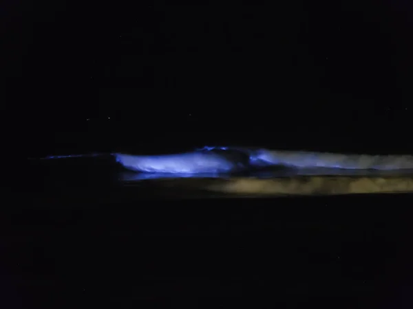Glowing Bioluminescent Waves Seen Pacific Ocean Coast Ecuador South America — Stock Photo, Image