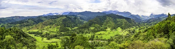 Salento Cocora Vadisi'nin güzel panoramik manzara, Kolombiya
