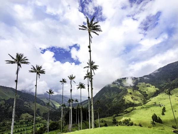 Hermoso paisaje montañoso del Valle del Cocora en Salento, Colombia —  Fotos de Stock