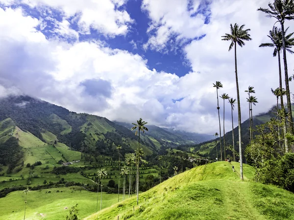 哥伦比亚萨伦托山谷山谷美丽的山景 图库照片