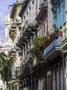 Havana, Küba. 28 Kasım 2018 - Havana'nın merkezinde Capitolio yakınlarındaki sokak manzarası
