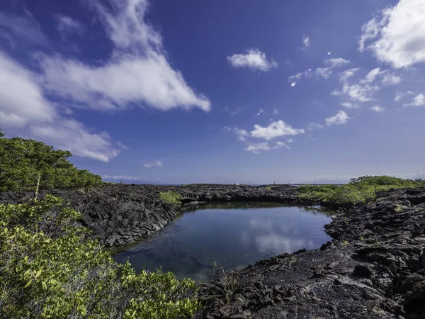Beau paysage riverain de l'île Fernandina, Galapagos, Équateur — Photo