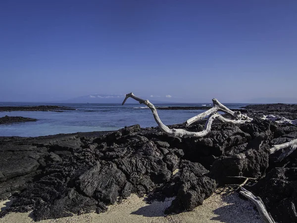 Wunderschöne vulkanische landschaft von punta moreno auf isabela insel, galapagos, ecuador — Stockfoto