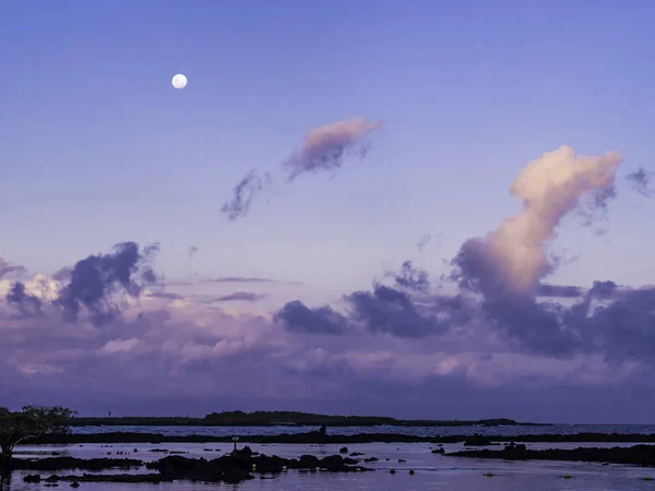 Galapagos Adaları Ekvador'daki Isabela Adası'nda güzel gün batımı manzarası
