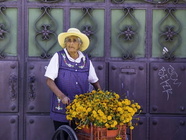 Puebla, Meksika, Eki 23 2018 - Meksika'nın Puebla kasabasında Ölüler Günü için kadife çiçeği satan yaşlı kadın
