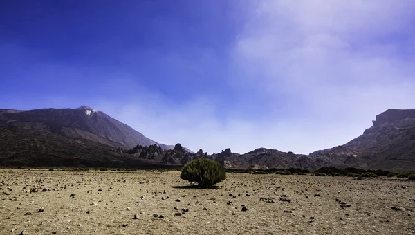 Piękny panoramiczny krajobraz parku Narodowego Teide na Teneryfie Wyspy Kanaryjskie Hiszpania — Zdjęcie stockowe