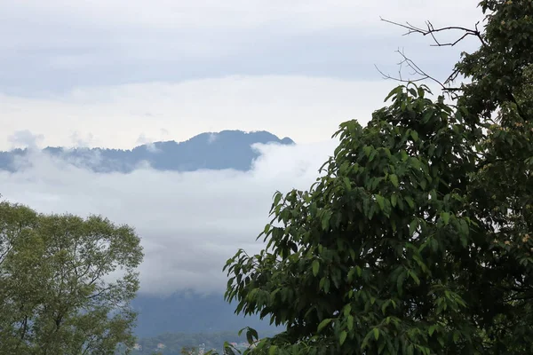 インドのスキキムで撮影を重ね 雲や木で覆われた山 — ストック写真