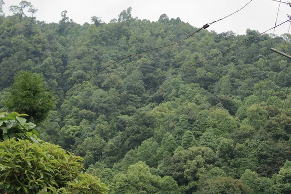 Berge Mit Grünen Bäumen Und Stromleitungen Die Durch Sikkim Indien — Stockfoto