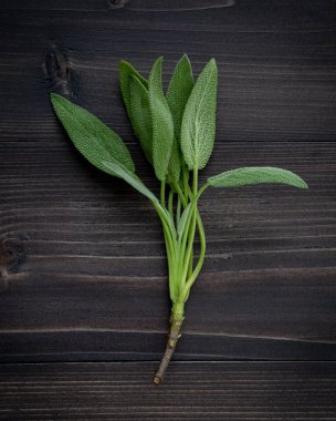 Tatlı taze adaçayı yaprakları koyu ahşap arka plan üzerinde.