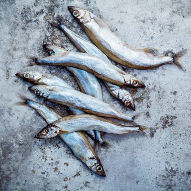 Taze balık tam yumurta Shishamo yakalamak. Shishamo balık Japon mutfağı Tempura yemek için popüler balıktır. Taze Shishamo balık taze deniz ürünleri durak alıcılar tempts.