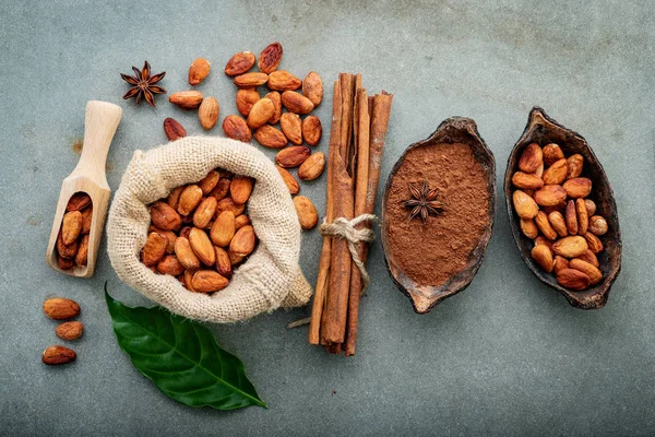 Cacao Polvere Fagioli Cacao Sfondo Concreto — Foto Stock