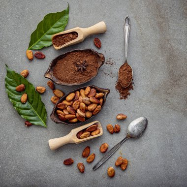 Toz Kakao ve kakao çekirdekleri beton zemin üzerine.