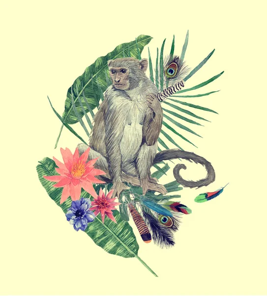 Suluboya elle çizilmiş illüstrasyon maymun, yapraklar, çiçekler, tüyleri ile. — Stok fotoğraf