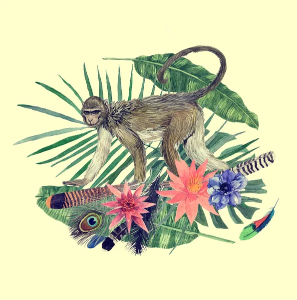 Watercolor hand drawn illustration with monkey, feathers, flowers. — Stock Photo, Image