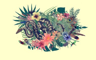 Suluboya elle çizilmiş illüstrasyon boa, çiçekler, yapraklar, tüyleri ile.