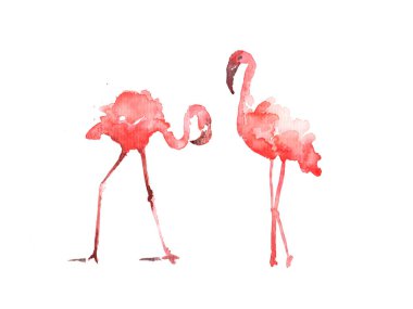 Pembe Flamingo görünümlü sol suluboya Illustration