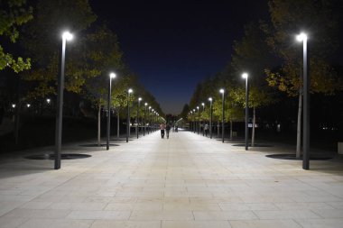 Akşam Parkı. Gece ışığı izi. Sessiz akşam.
