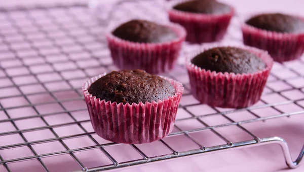 Chocolate mini cupcakes. — Stock Photo, Image