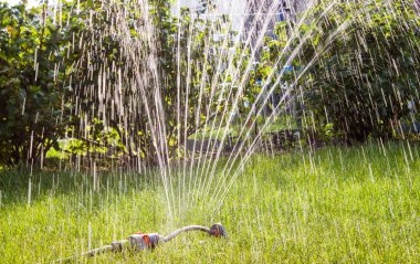 Bahçe sprinkler çim sulama.