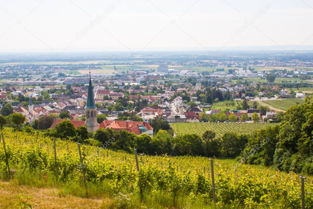 Gumpoldskirchen Austria vineyards.