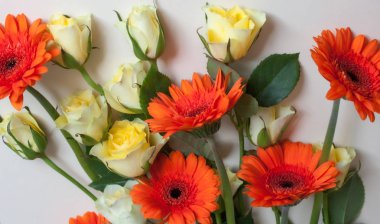 Güller ve gerberas. 