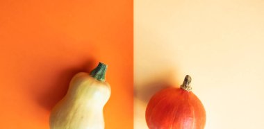 Cadılar Bayramı sarı ve turuncu arka plan.