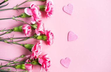 Pembe karanfil çiçek. 