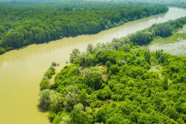 Hava Sava nehir, doğa parkında peyzaj Lonjsko Polje, Hırvatistan, ormanın ve nehir sel panoramik görünümü