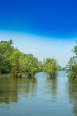 Bahar Park Lonjsko Polje, Hırvatistan, sular altında alan
