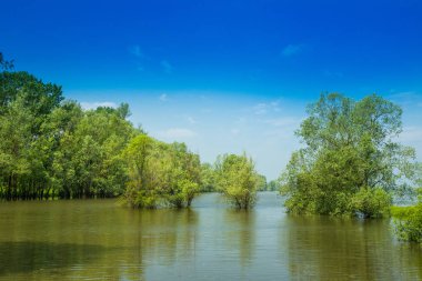 Bahar Park Lonjsko Polje, Hırvatistan, sular altında alan