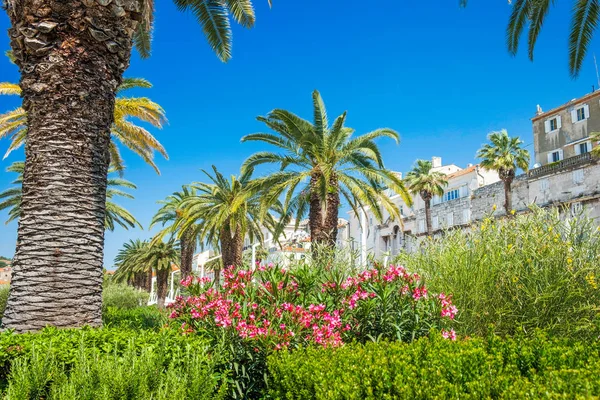 Split, Croatia, flowers and palms in front of palace of Roman emperor Diocletian from 3rd century, world heritage site, tower of cathedral in background