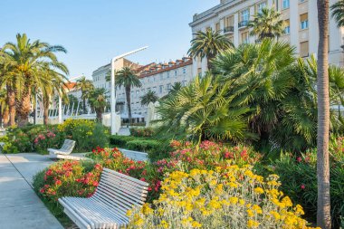 Split Şehri, Hırvatistan, Riva kordonu üzerinde palmiye ler ve Roma İmparatoru Diocletianus sarayının duvarları, dünya mirası