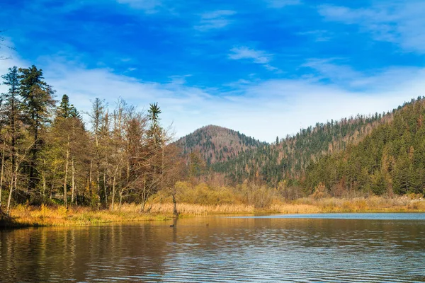 Beau Lac Bajer Fuzine Gorski Kotar Croatie Automne — Photo