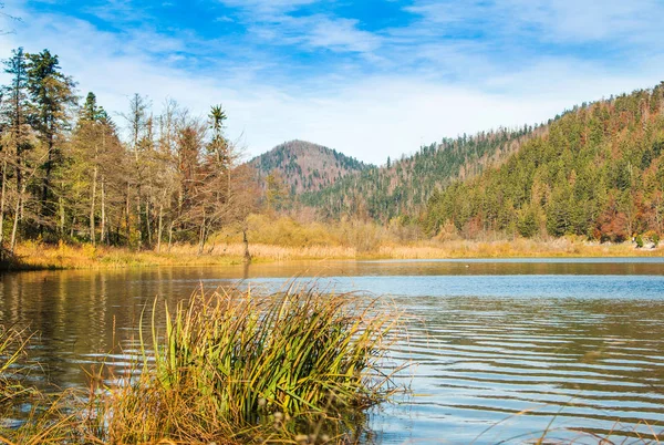 Beau Lac Bajer Ville Fuzine Gorski Kotar Croatie Automne — Photo