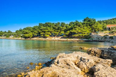 Kamp beldesi Kosirina'da güzel taş plaj, ada od Murter, Hırvatistan, Hırvat Adriyatik mavi koy