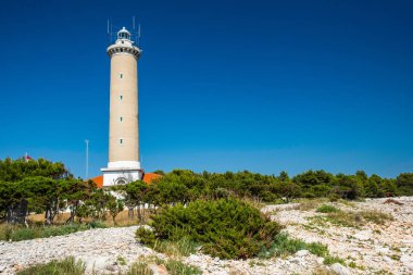 Hırvatistan, Dugi Otok Adası, çam ağaçları arasında taş sahildeki veli Rat 'ın güzel eski feneri