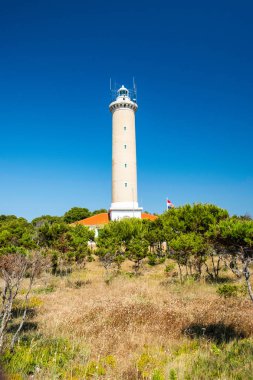 Hırvatistan, Dugi Otok Adası, çam ağaçları arasında taş sahildeki veli Rat 'ın güzel eski feneri