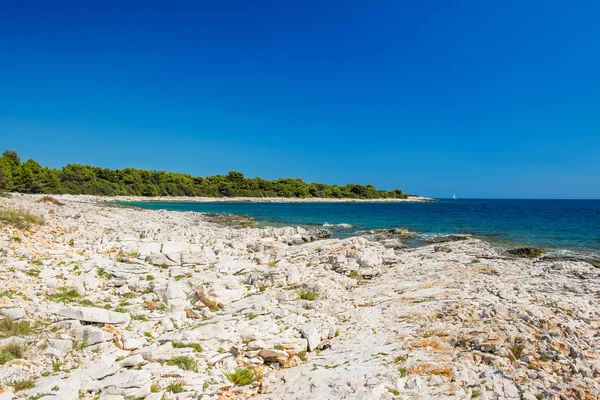 Hırvatistan, Adriyatik kıyısı, turkuaz deniz kayalık kıyı, Dugi Otok adasında berrak mavi su