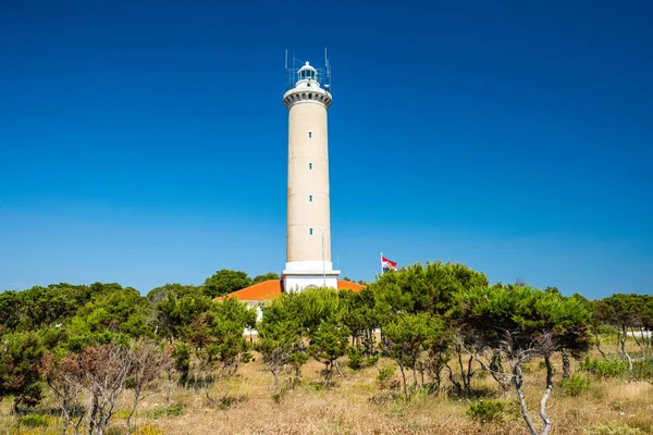 Hırvatistan, Dugi Otok Adası, çam ağaçları arasında taş sahildeki veli Rat 'ın güzel eski feneri