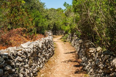 Hırvatistan'ın Dalmaçya kentinde eski yol, yaşlı kuru taş duvar (suhozid), Hırvatistan'da kırsal kesime özgü bir yapı