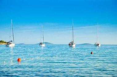 Yatçılık cenneti, Hırvat Adriyatik mavi koyda sabah yelkenli tekne ve yatlar demirli, Murter adasında Kosirina koy