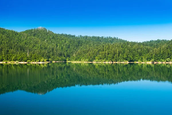 See Gorski Kotar Lokve Kroatien Waldreflexion Wasser — Stockfoto