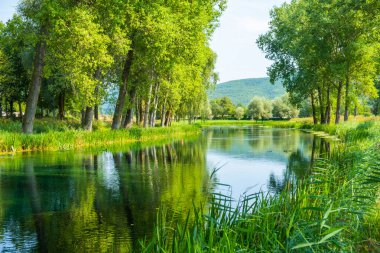 Ağaçlar ve tarlalar arasında akan güzel Gacka nehri, yaz manzarası, Hırvatistan'ın Lika bölgesi