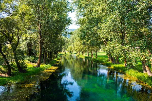 Beautiful river Gacka, river surface between the trees, Lika region of Croatia