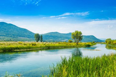 Güzel doğa manzara, çim bankalar arasında Gacka nehri, Hırvatistan Lika bölgesi