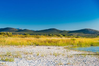 Güzel doğa parkı Vransko Gölü, Hırvatistan 'ın Dalmaçya kentinde ornitoloji rezervasyonu