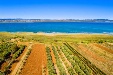 Güzel doğa parkı Vransko Gölü, Hırvatistan 'ın Dalmaçya kentinde ornitoloji rezervasyonu