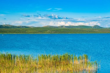 Hırvatistan 'ın Dalmaçya kentinde Vrana Gölü (Vransko jezero) güzel kuşbilim parkı