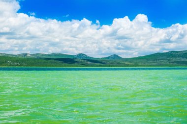 Hırvatistan 'ın Dalmaçya kentindeki Vrana (Vransko jezero) ornitoloji parkındaki güzel yeşil göl