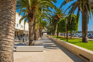 Hırvatistan, Pag adasındaki turistik Novalja kasabasında palmiyelerle yürüme yolu